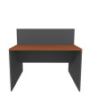 ESCRITORIO DUO 120x120