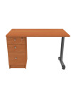 ESCRITORIO C/C. PEDESTAL IZQ. 120x60