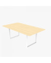 MESA NEO  200x110x75H