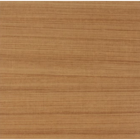 TAPACANTO COIGUE 29X2